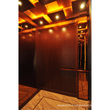Otis Quality Home Elevator From China Factory Fabricant